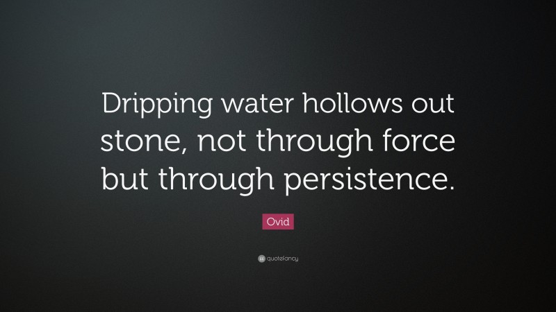 Ovid Quote: “Dripping water hollows out stone, not through force but through persistence.”