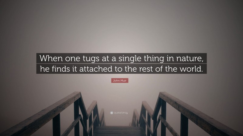 John Muir Quote: “When one tugs at a single thing in nature, he finds it attached to the rest of the world.”