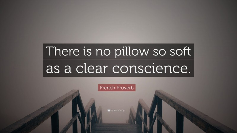 French Proverb Quote: “There is no pillow so soft as a clear conscience.”