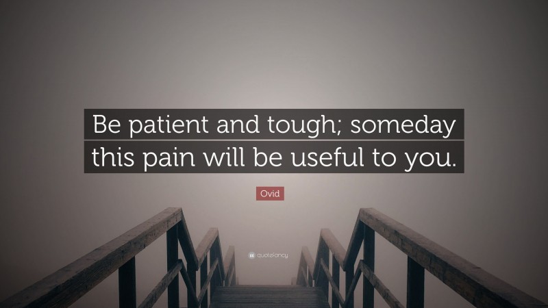 Ovid Quote: “Be patient and tough; someday this pain will be useful to you.”