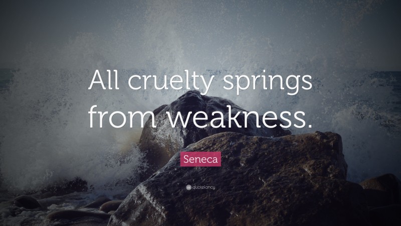 Seneca Quote: “All cruelty springs from weakness.”
