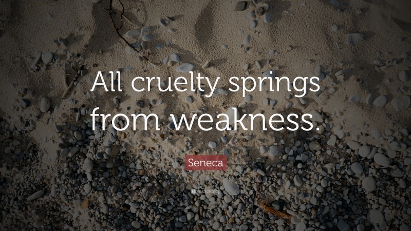 Seneca Quote: “All cruelty springs from weakness.”