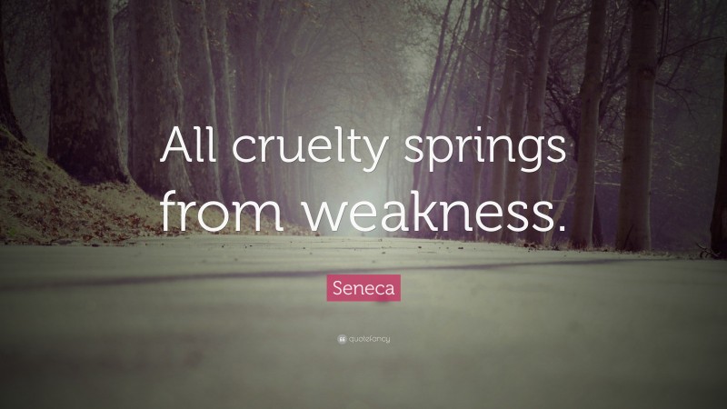 Seneca Quote: “All cruelty springs from weakness.”