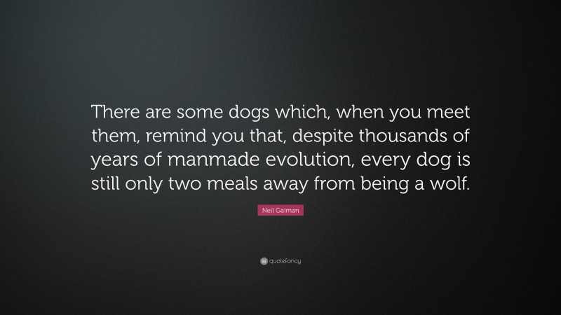 Neil Gaiman Quote: “There are some dogs which, when you meet them, remind you that, despite thousands of years of manmade evolution, every dog is still only two meals away from being a wolf.”