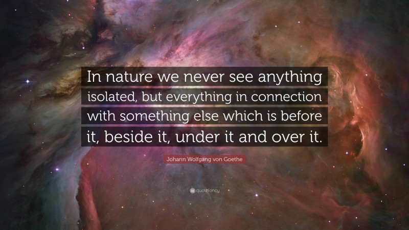 Johann Wolfgang von Goethe Quote: “In nature we never see anything isolated, but everything in connection with something else which is before it, beside it, under it and over it.”