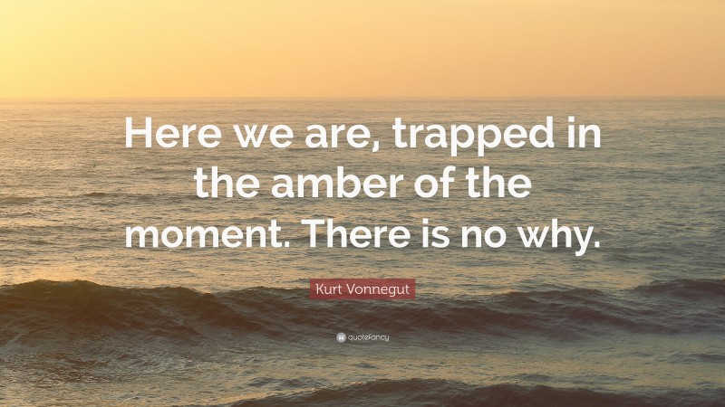 Kurt Vonnegut Quote: “Here we are, trapped in the amber of the moment. There is no why.”