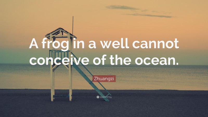 Zhuangzi Quote: “A frog in a well cannot conceive of the ocean.”