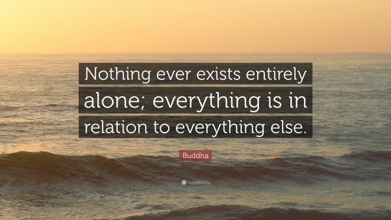 Buddha Quote: “Nothing ever exists entirely alone; everything is in relation to everything else.”