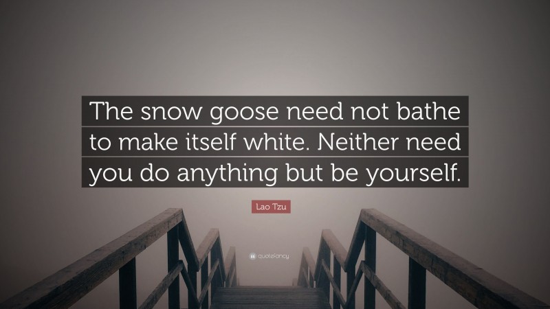 Lao Tzu Quote: “The snow goose need not bathe to make itself white. Neither need you do anything but be yourself.”