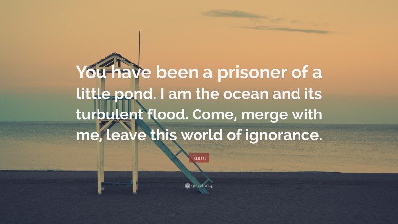 Rumi Quote: “You have been a prisoner of a little pond. I am the ocean and its turbulent flood. Come, merge with me, leave this world of ignorance.”
