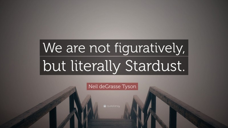 Neil deGrasse Tyson Quote: “We are not figuratively, but literally Stardust.”