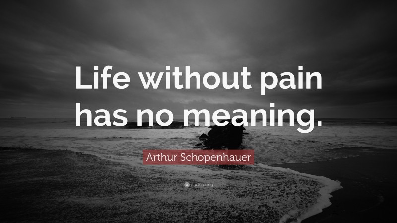 Arthur Schopenhauer Quote: “Life without pain has no meaning.”
