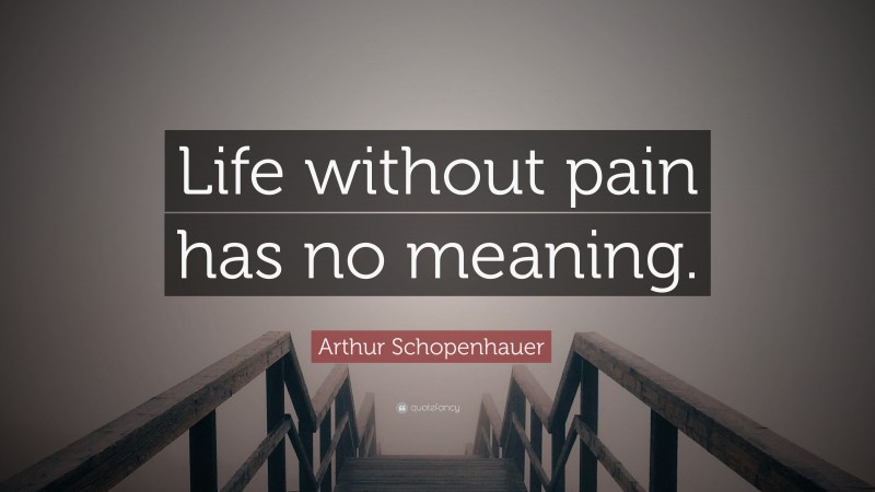 Arthur Schopenhauer Quote: “Life without pain has no meaning.”