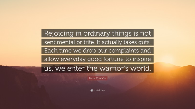 Pema Chödrön Quote: “Rejoicing in ordinary things is not sentimental or trite. It actually takes guts. Each time we drop our complaints and allow everyday good fortune to inspire us, we enter the warrior’s world.”