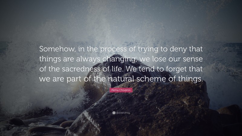 Pema Chödrön Quote: “Somehow, in the process of trying to deny that things are always changing, we lose our sense of the sacredness of life. We tend to forget that we are part of the natural scheme of things.”
