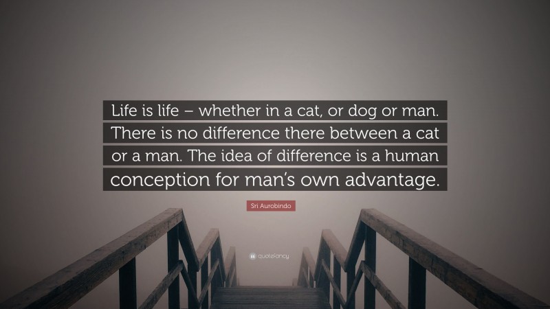 Sri Aurobindo Quote: “Life is life – whether in a cat, or dog or man. There is no difference there between a cat or a man. The idea of difference is a human conception for man’s own advantage.”
