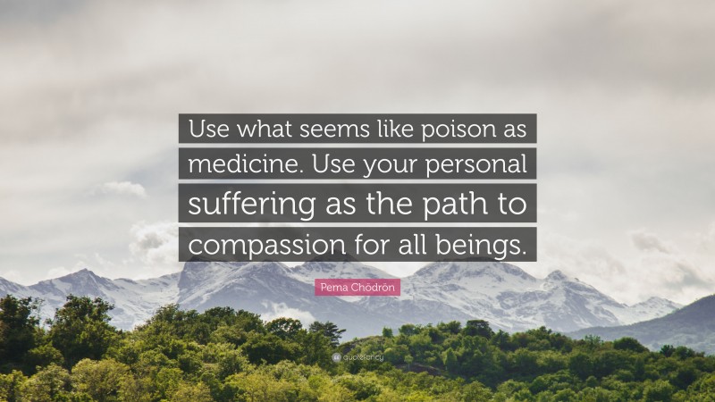 Pema Chödrön Quote: “Use what seems like poison as medicine. Use your personal suffering as the path to compassion for all beings.”