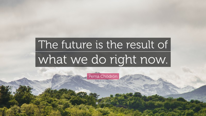 Pema Chödrön Quote: “The future is the result of what we do right now.”