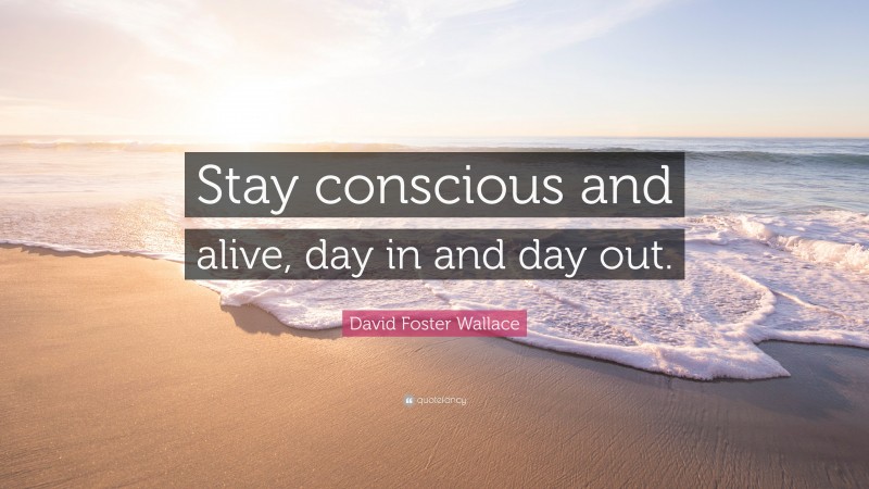 David Foster Wallace Quote: “Stay conscious and alive, day in and day out.”