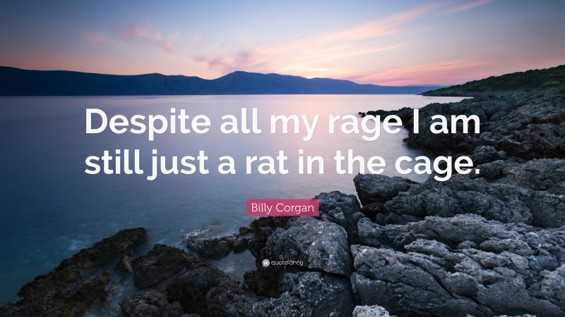 Billy Corgan Quote: “Despite all my rage I am still just a rat in the cage.”