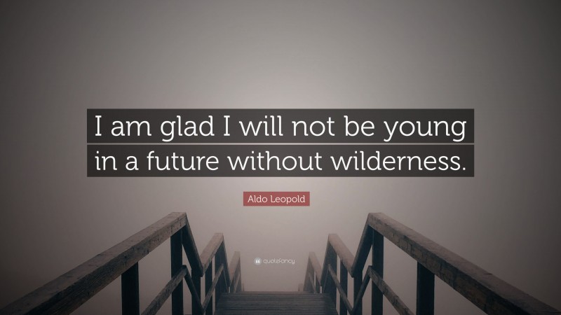Aldo Leopold Quote: “I am glad I will not be young in a future without wilderness.”