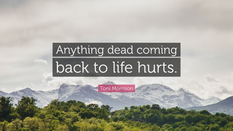 Toni Morrison Quote: “Anything dead coming back to life hurts.”