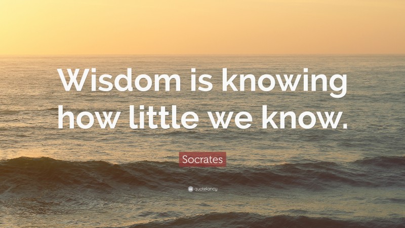 Socrates Quote: “Wisdom is knowing how little we know.”