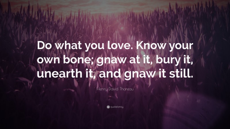 Henry David Thoreau Quote: “Do what you love. Know your own bone; gnaw at it, bury it, unearth it, and gnaw it still.”