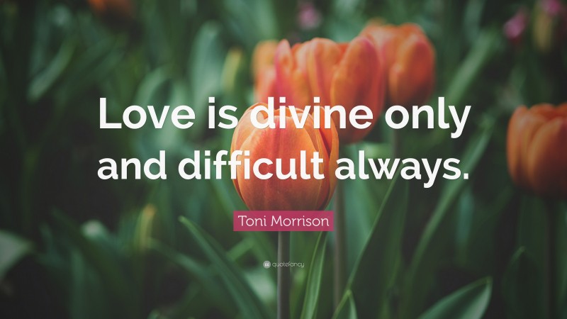 Toni Morrison Quote: “Love is divine only and difficult always.”