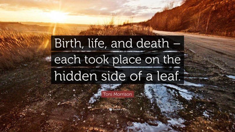 Toni Morrison Quote: “Birth, life, and death – each took place on the hidden side of a leaf.”