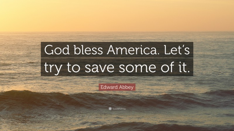 Edward Abbey Quote: “God bless America. Let’s try to save some of it.”