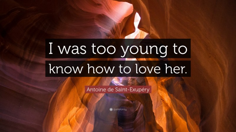 Antoine de Saint-Exupéry Quote: “I was too young to know how to love her.”
