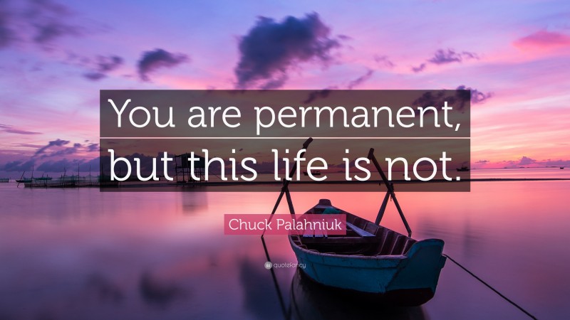 Chuck Palahniuk Quote: “You are permanent, but this life is not.”