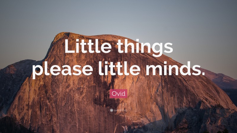 Ovid Quote: “Little things please little minds.”