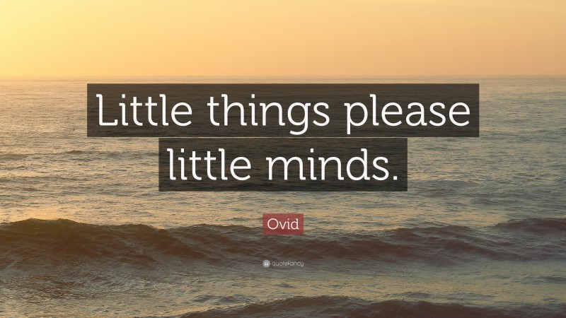 Ovid Quote: “Little things please little minds.”