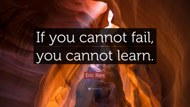 Eric Ries Quote: “If you cannot fail, you cannot learn.”