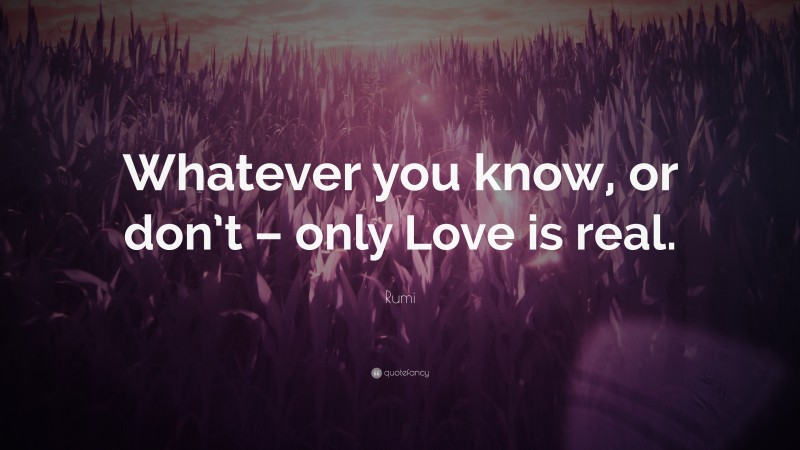 Rumi Quote: “Whatever you know, or don’t – only Love is real.”