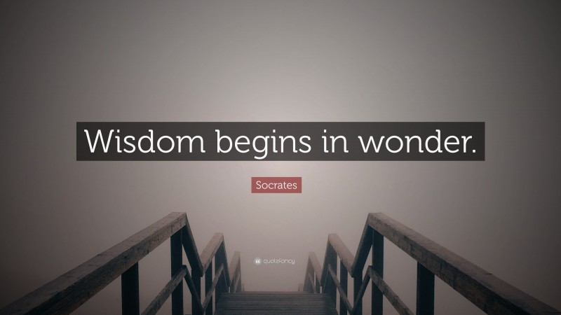 Socrates Quote: “Wisdom begins in wonder.”