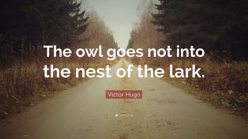 Victor Hugo Quote: “The owl goes not into the nest of the lark.”
