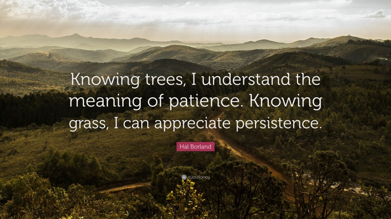 Hal Borland Quote: “Knowing trees, I understand the meaning of patience ...