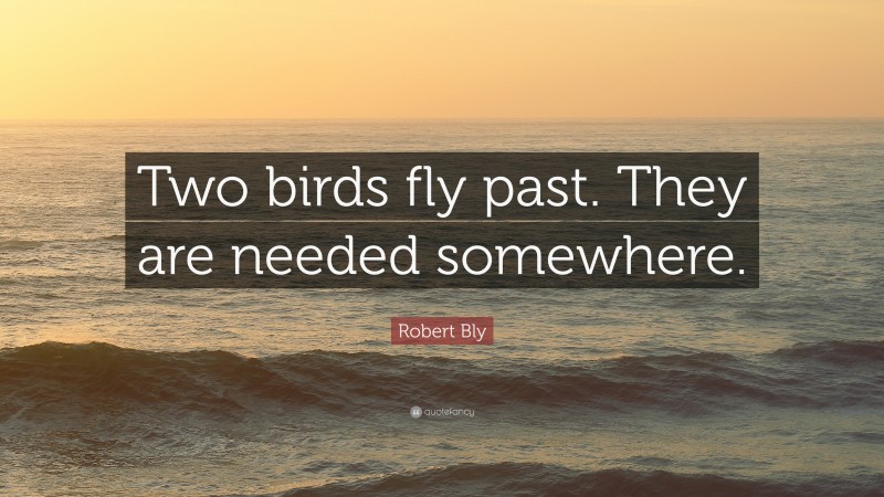 Robert Bly Quote: “Two birds fly past. They are needed somewhere.”