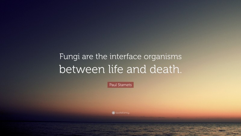 Paul Stamets Quote: “Fungi are the interface organisms between life and death.”