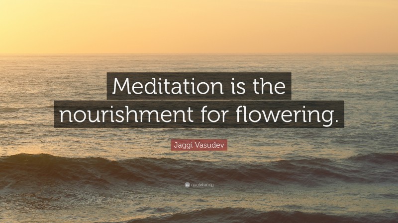 Jaggi Vasudev Quote: “Meditation is the nourishment for flowering.”