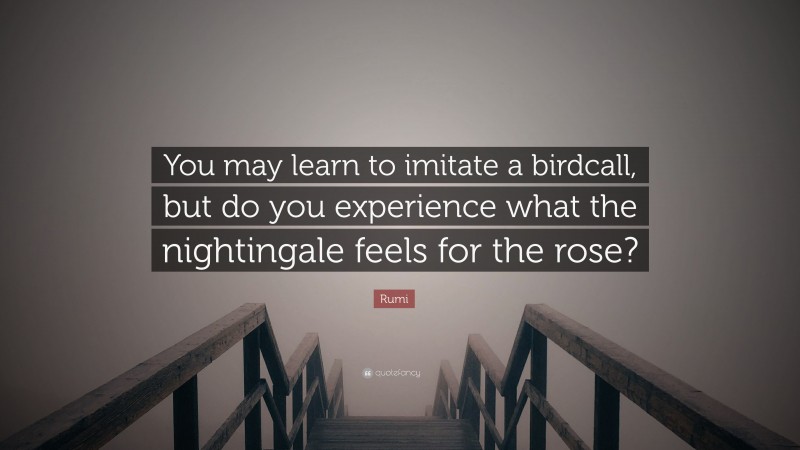 Rumi Quote: “You may learn to imitate a birdcall, but do you experience what the nightingale feels for the rose?”