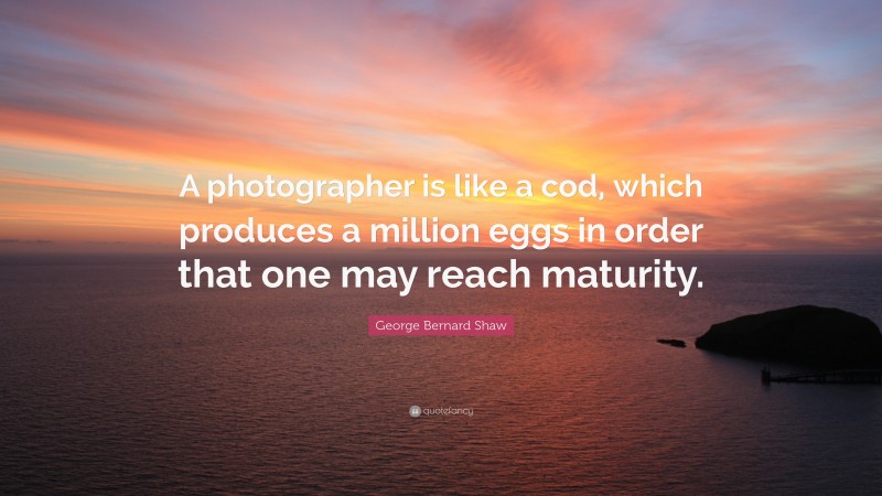 George Bernard Shaw Quote: “A photographer is like a cod, which produces a million eggs in order that one may reach maturity.”