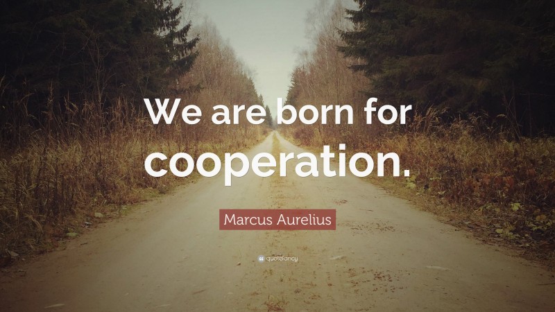 Marcus Aurelius Quote: “We are born for cooperation.”