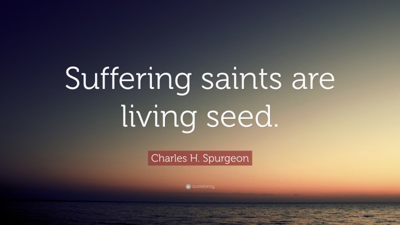 Charles H. Spurgeon Quote: “Suffering saints are living seed.”