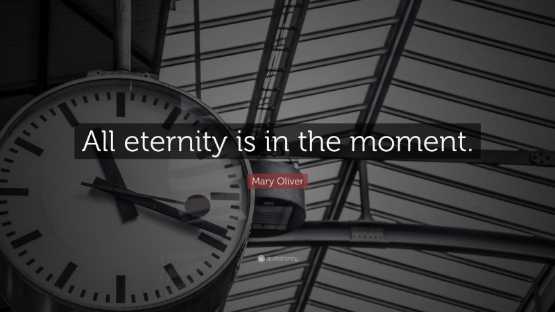 Mary Oliver Quote: “All eternity is in the moment.”