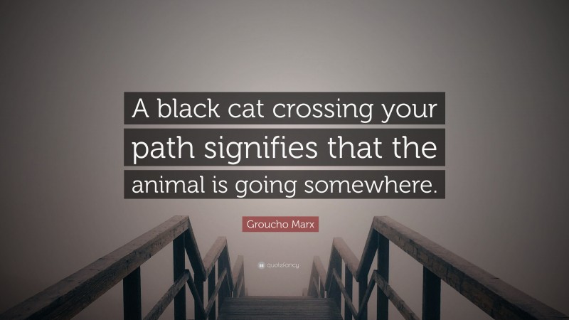Groucho Marx Quote: “A black cat crossing your path signifies that the animal is going somewhere.”