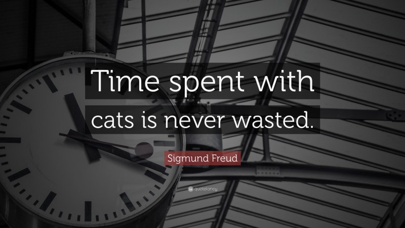 Sigmund Freud Quote: “Time spent with cats is never wasted.”